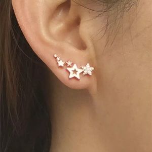 Star Earrings
